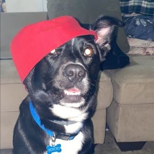 Meet your Posher, Jacob